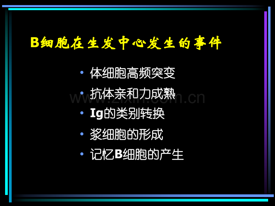 B淋巴细胞介导的体液免疫应答.pptx_第2页