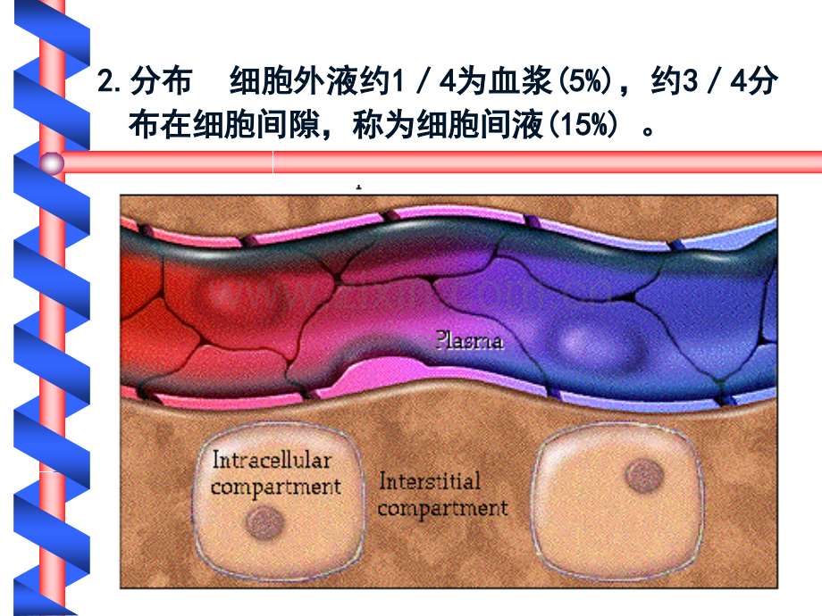 3水电解质代谢紊乱.pptx_第3页