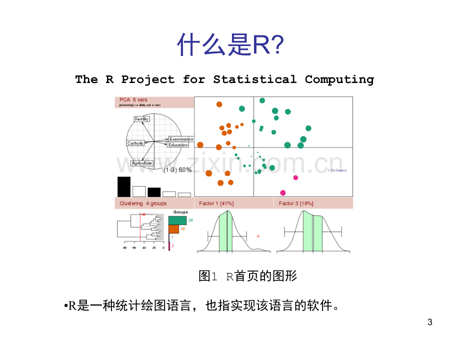 R语言初步统计绘图与编程.pptx_第3页