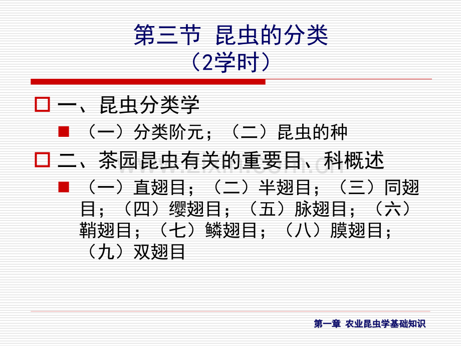 农业昆虫学基础知识6学时.pptx_第3页