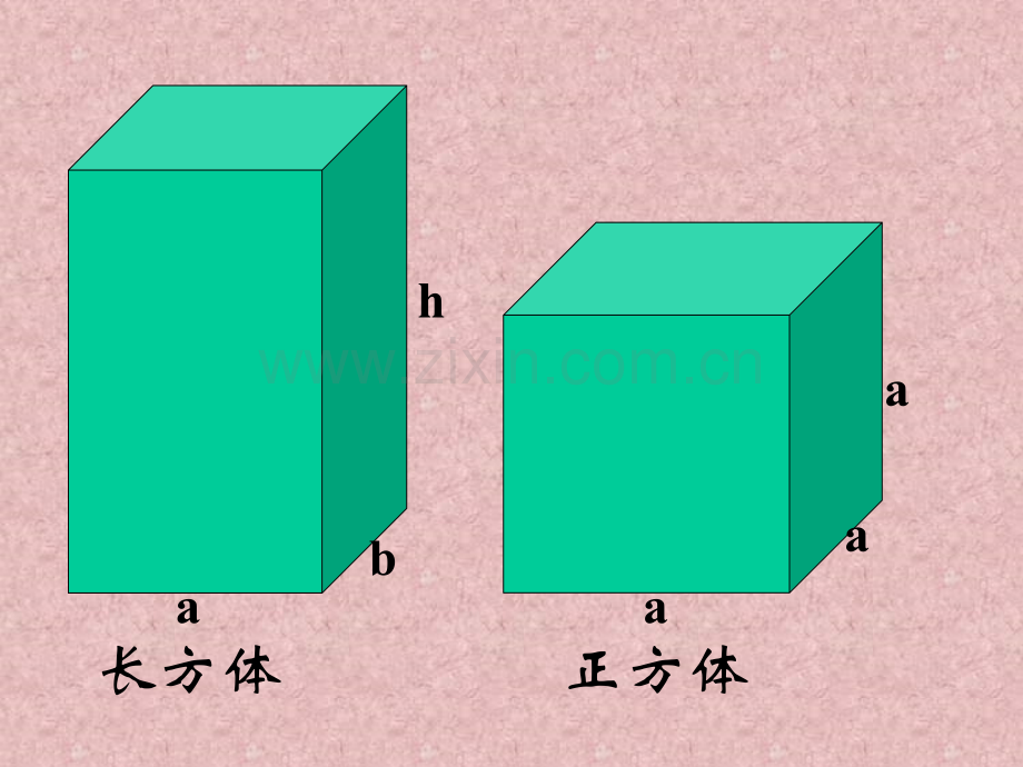 人教五年级下长方体和正方体整理与复习.pptx_第2页