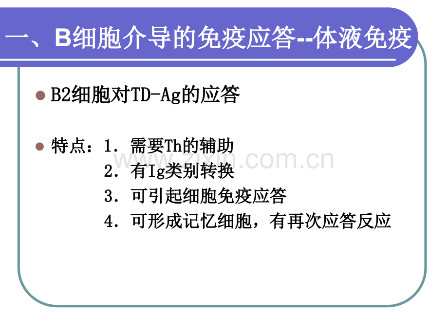 免疫应答B细胞.pptx_第3页