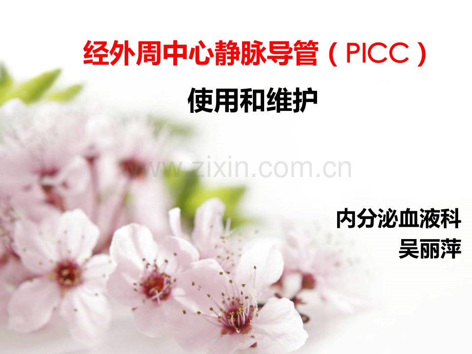 PICC的使用和维护.pptx_第1页