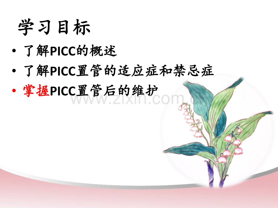 PICC的使用和维护.pptx_第3页