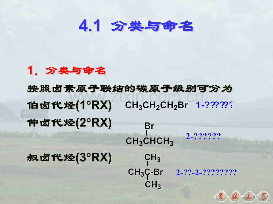 农学有机化学卤代烃醇脂肪胺.pptx_第2页