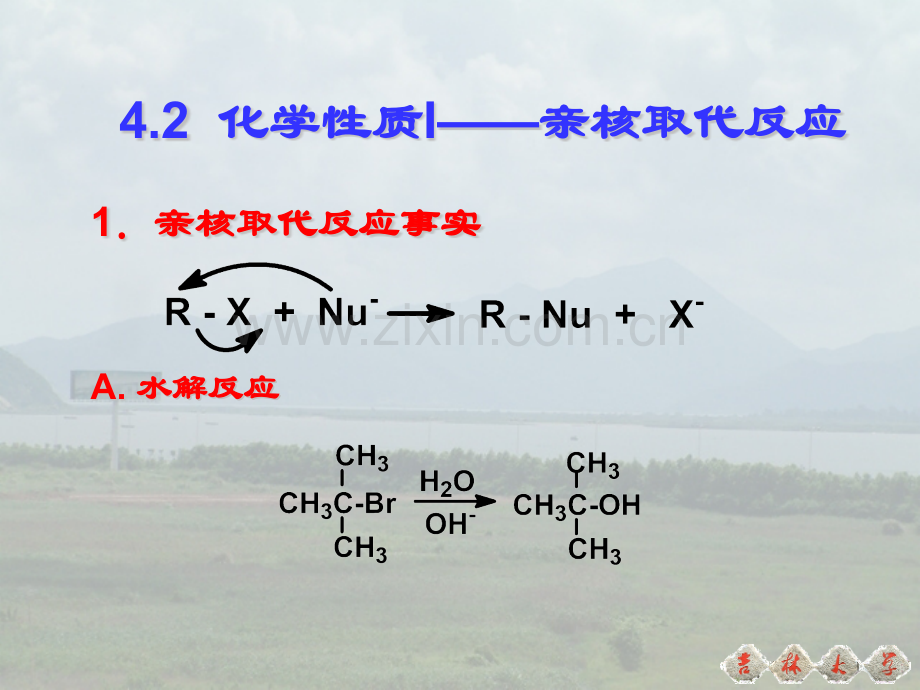 农学有机化学卤代烃醇脂肪胺.pptx_第3页