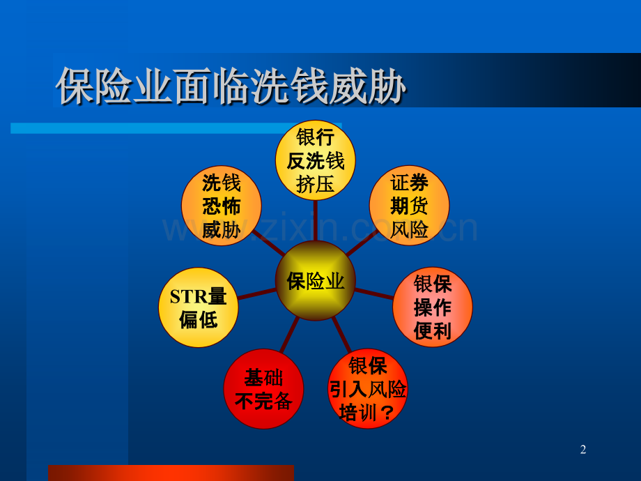 保险业反洗钱——可疑交易和典型案例分析.pptx_第2页