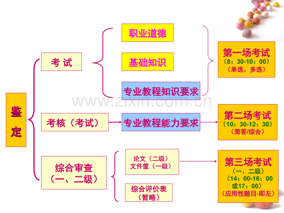 LHR级鉴定介绍.pptx_第3页