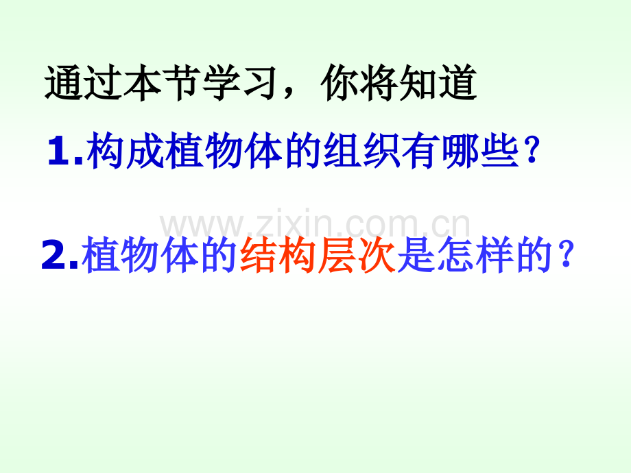 人教版七年级生物上册植物体的结构层次.pptx_第2页