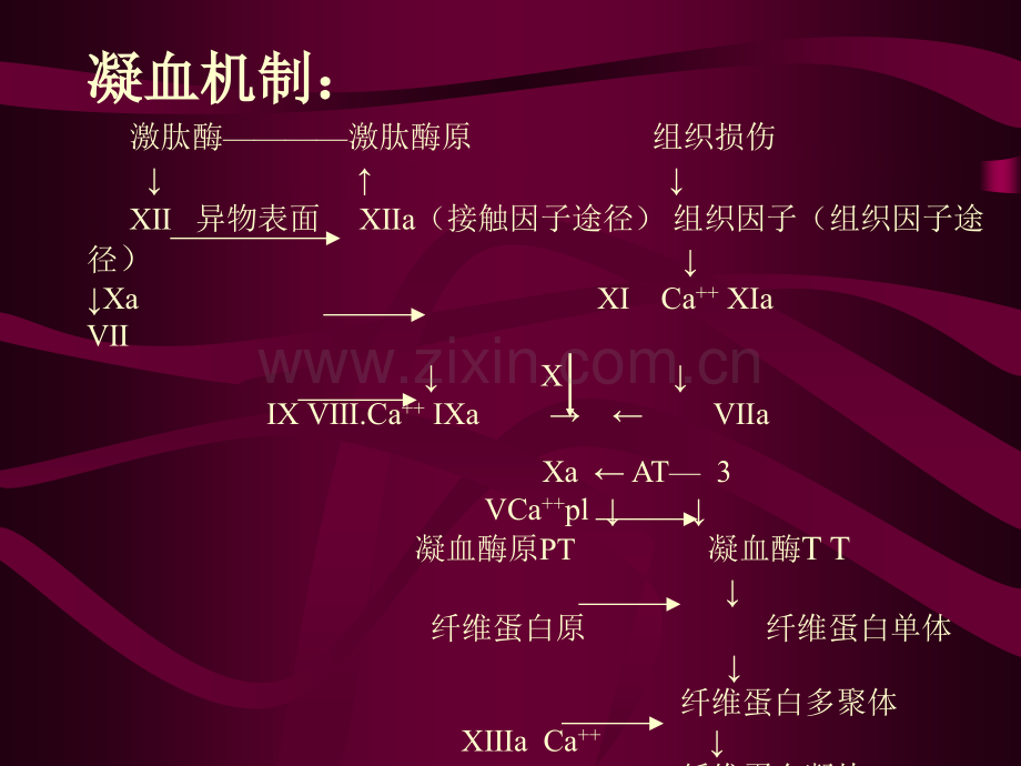 DIC的诊断与治疗.pptx_第3页