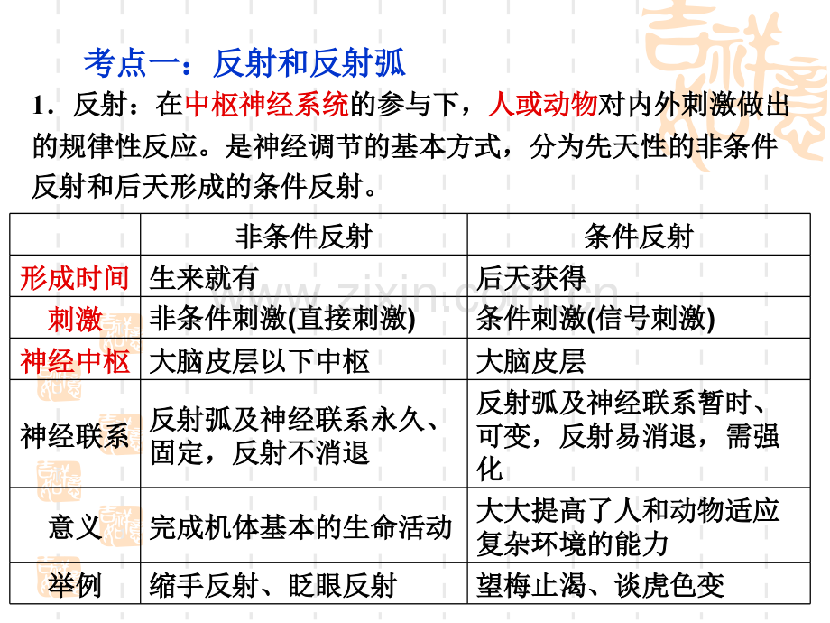 B通过神经系统的调节.pptx_第2页