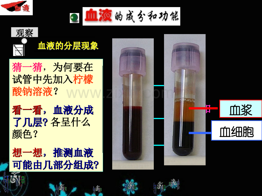 人教版七级下生物2013春使用流动的组织血液.pptx_第3页