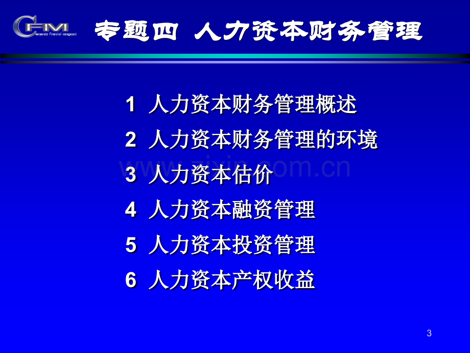 4人力资本财务管理.pptx_第3页