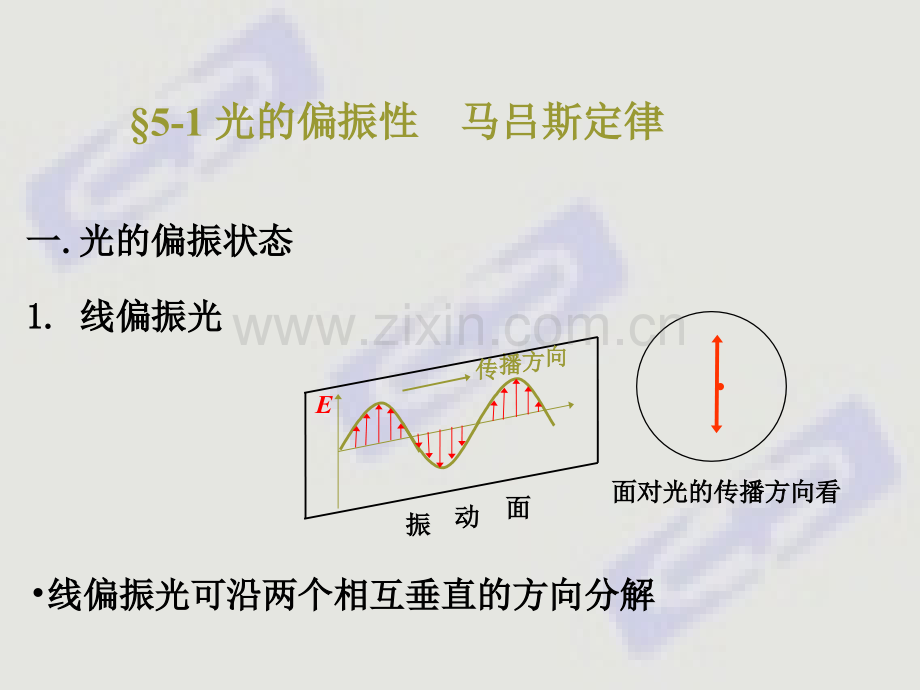 偏振与晶体双折射.pptx_第2页