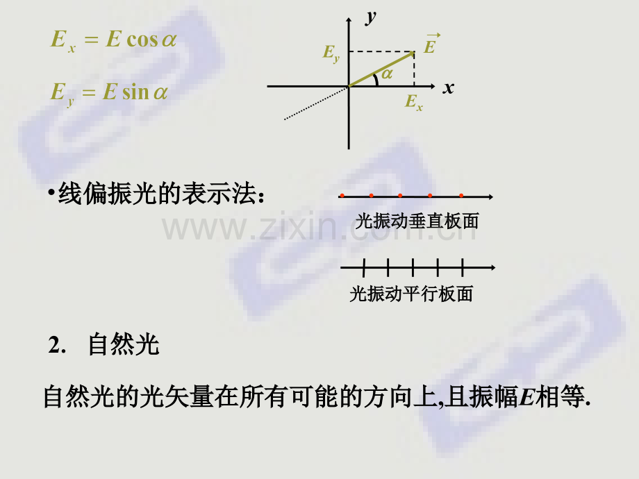 偏振与晶体双折射.pptx_第3页