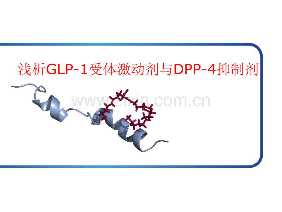 GLP1受体激动剂与DPP4抑制剂幻灯.pptx_第1页