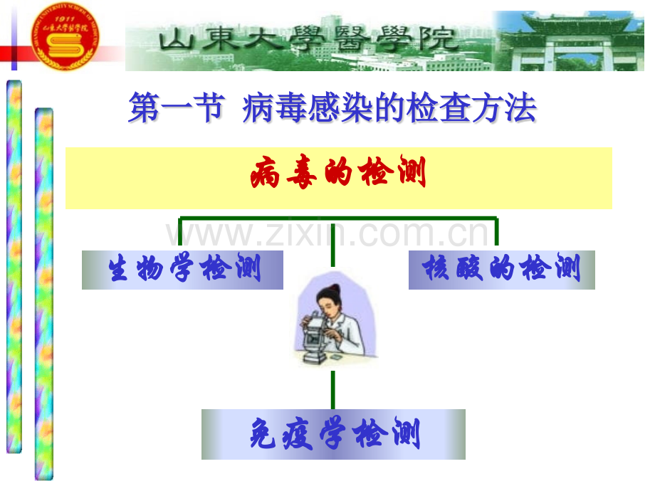 25章病毒感染的检查方法与防治原则剖析.pptx_第2页