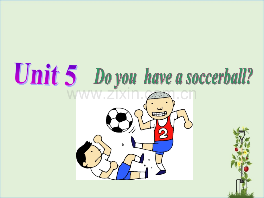 七年级英语上册Unit5DoyouhaveasoccerballSectionA1.pptx_第1页