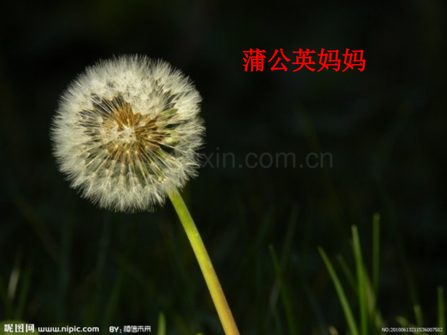 3植物妈妈有办法2018部编版二年级上上课.pptx_第3页