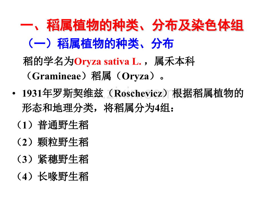 作物育种学分论水稻育种3课件.pptx_第3页