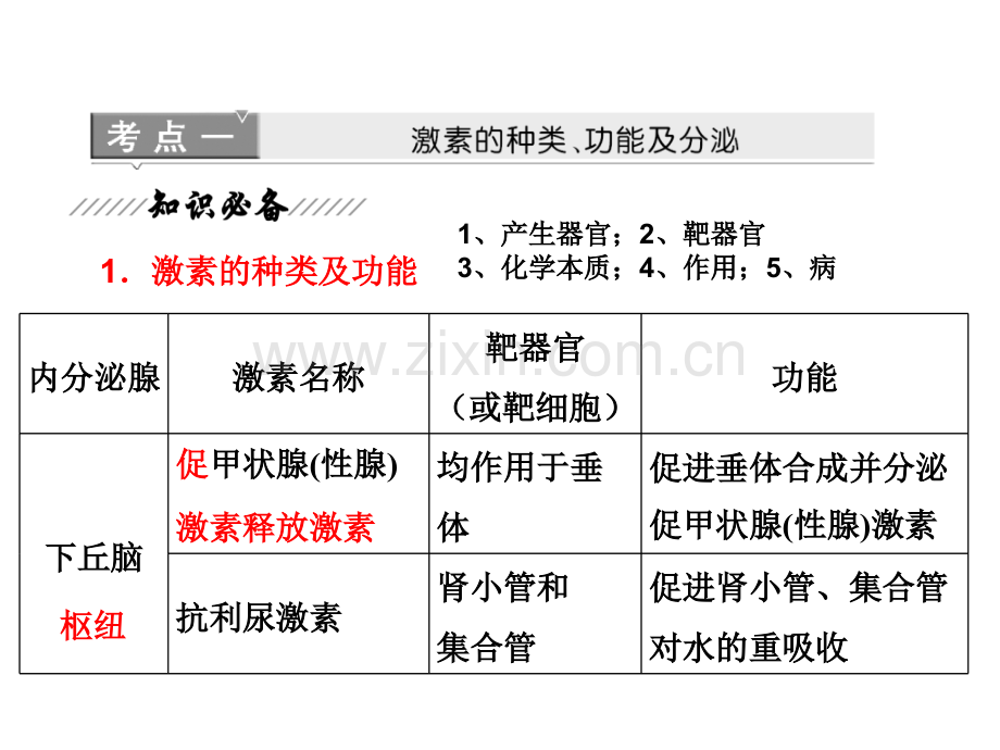 二轮动物激素调节.pptx_第2页