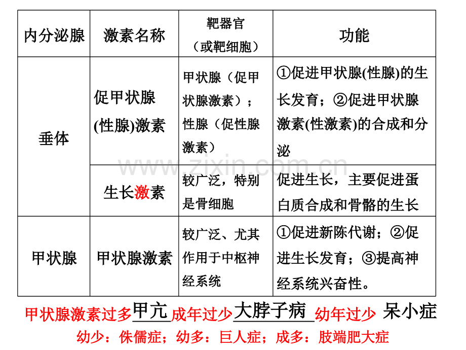 二轮动物激素调节.pptx_第3页