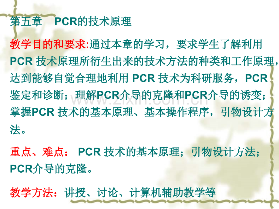 PCR的技术原理.pptx_第1页