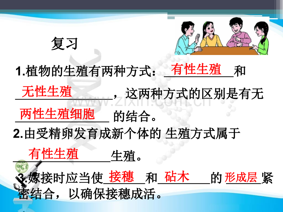 人教版八年级生物下册课件昆虫的生殖和发育共19张ppt.pptx_第1页