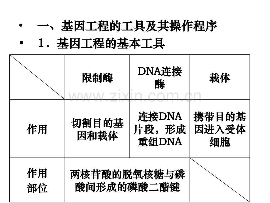 人教版基因工程和细胞工程复习.pptx_第2页