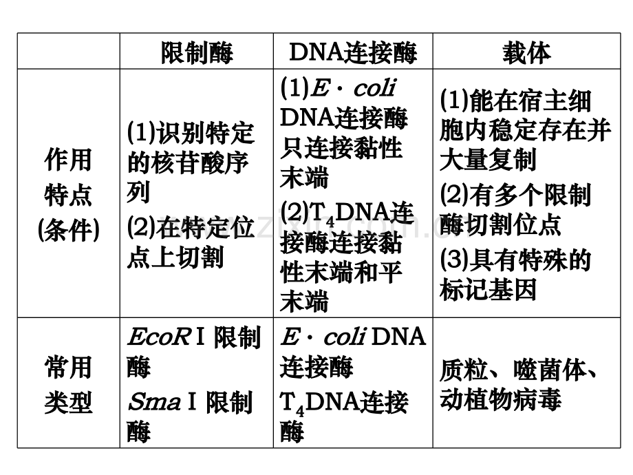 人教版基因工程和细胞工程复习.pptx_第3页