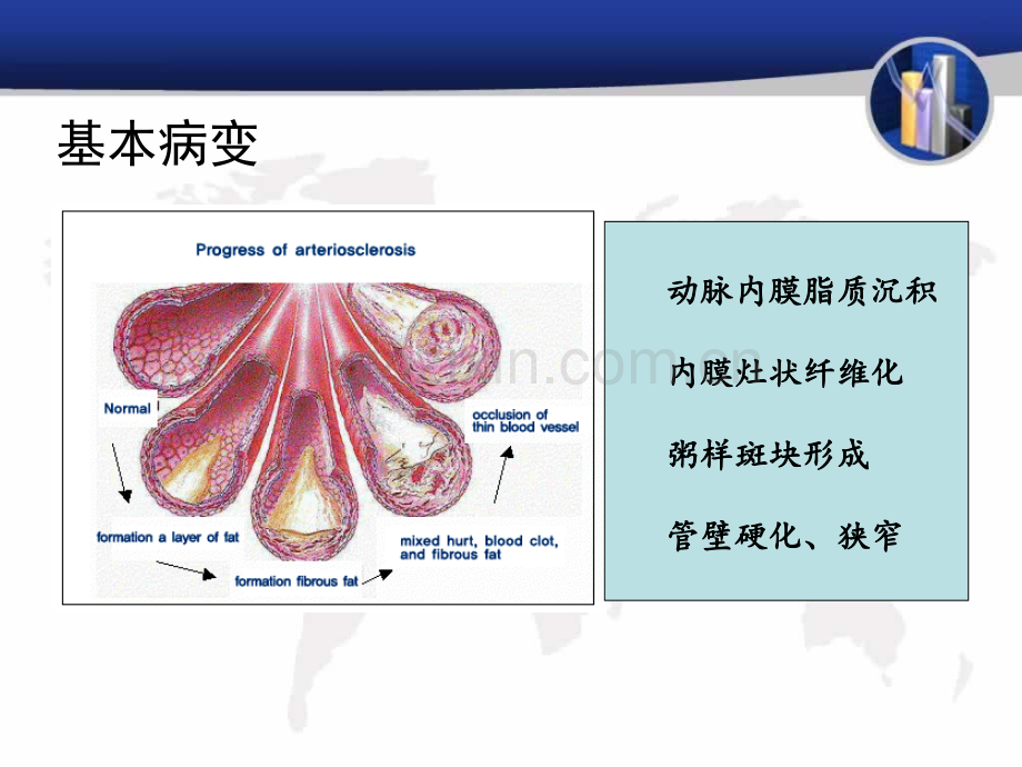 5病理学——心血管系统疾病.pptx_第3页