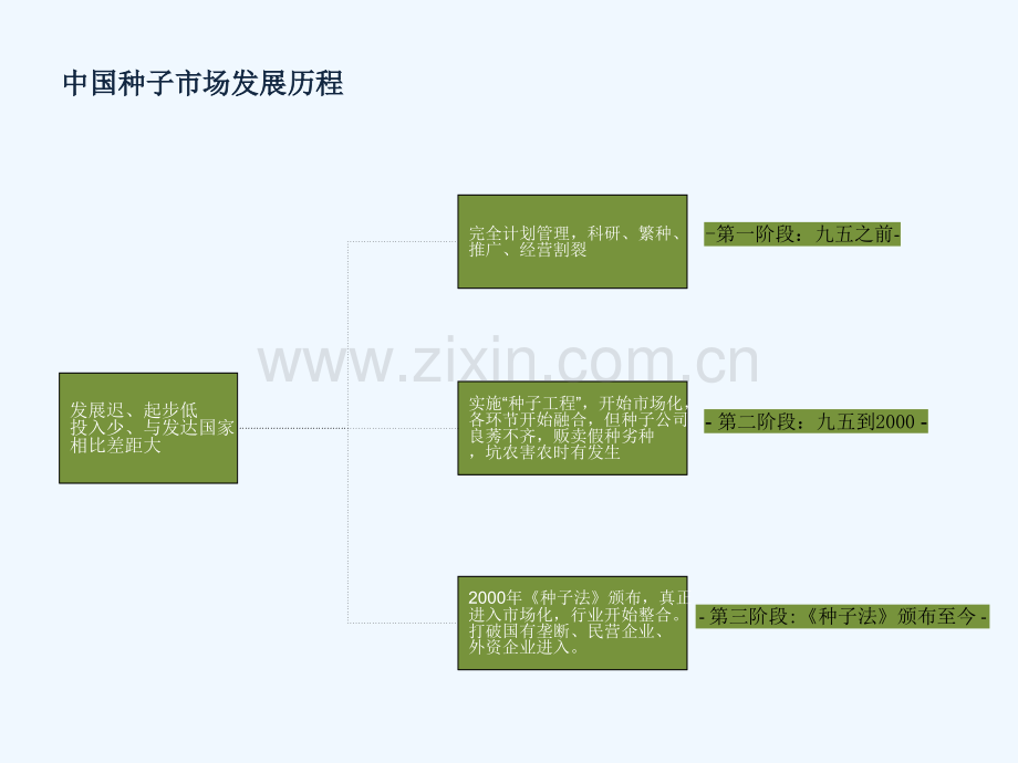 中国种业市场分析及相关公司.pptx_第2页