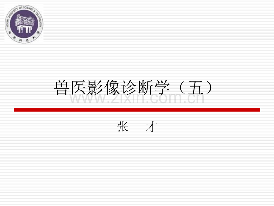 兽医影像诊断学.pptx_第1页