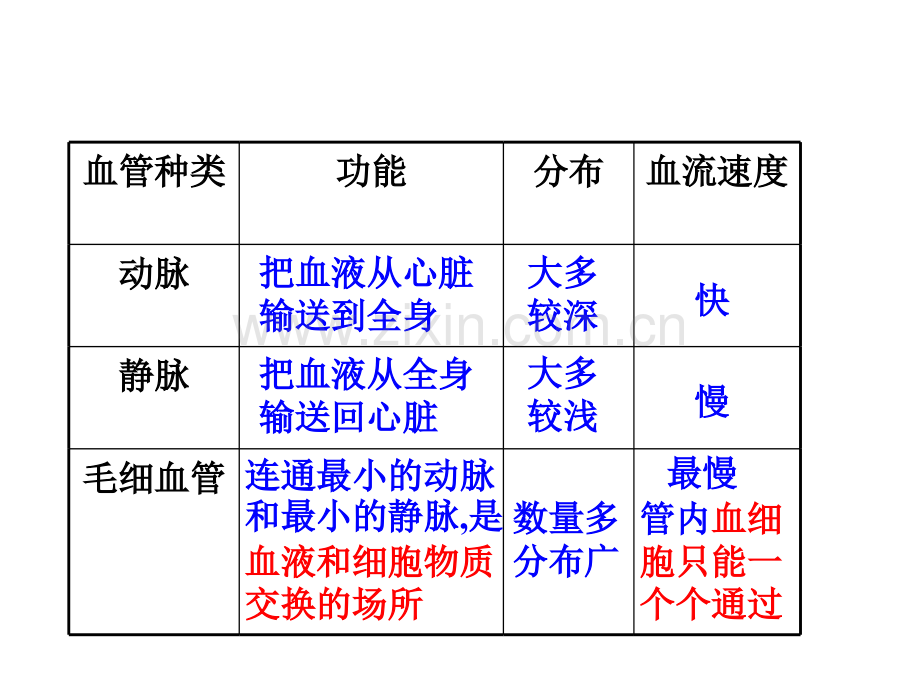 八上复习12.pptx_第1页