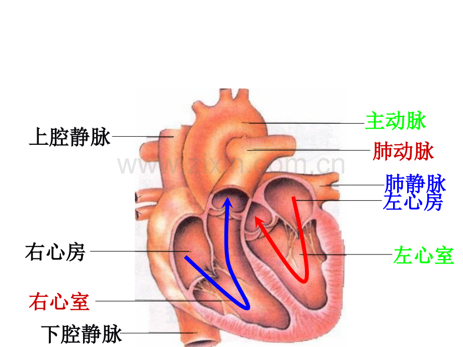 八上复习12.pptx_第3页