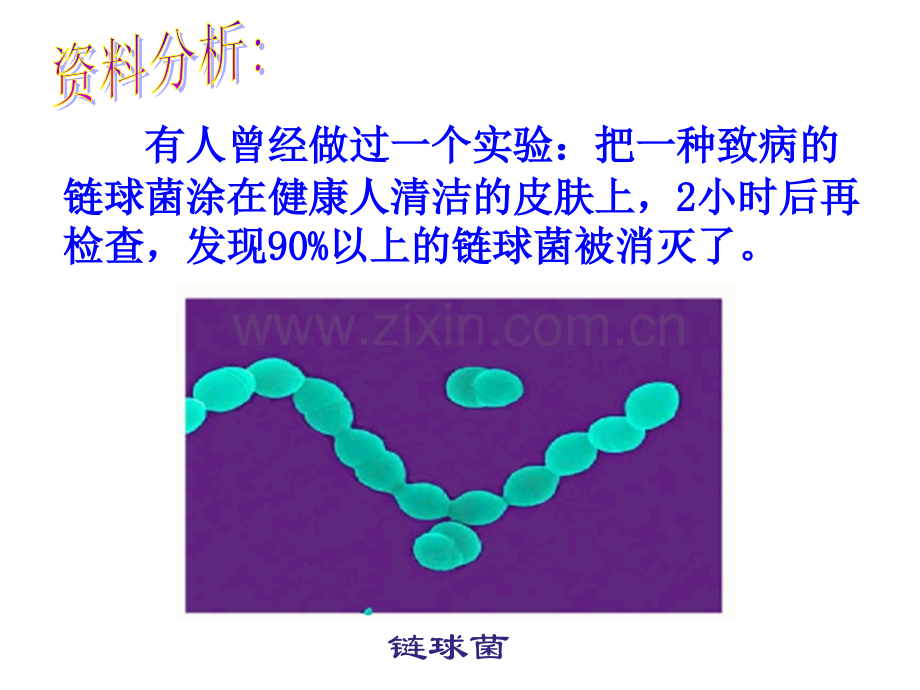 免疫和计划免疫课件1.pptx_第3页