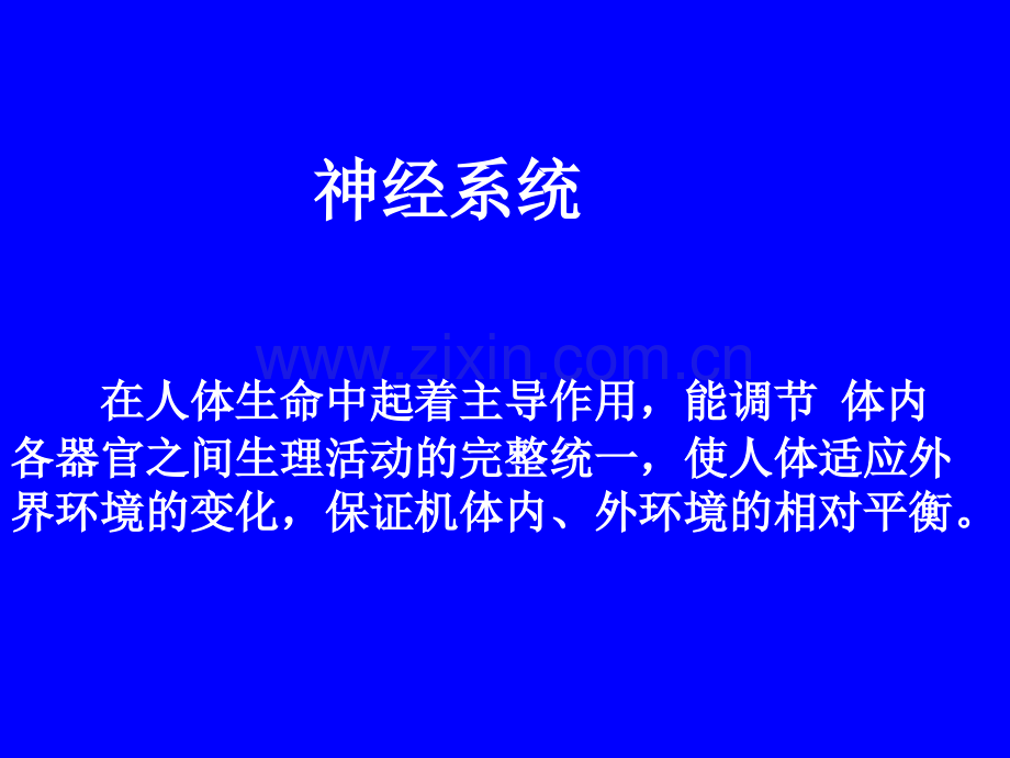 人体其他系统基本知识神经系统.pptx_第1页