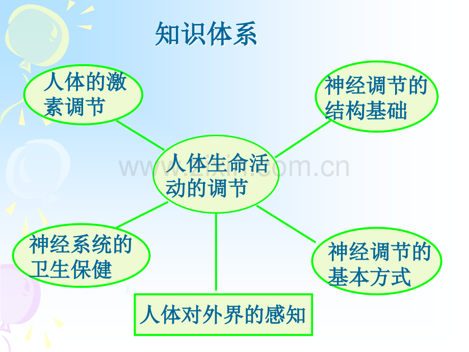 七年级生物复习课件.pptx_第1页