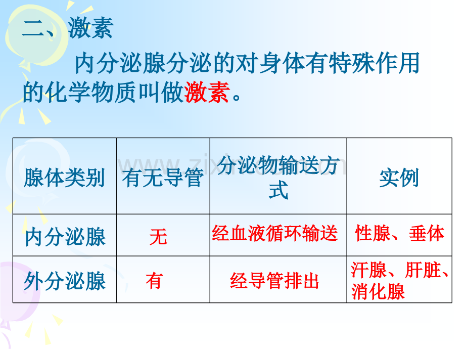 七年级生物复习课件.pptx_第3页