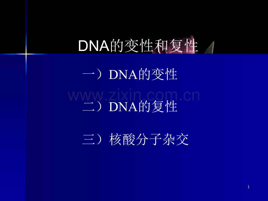 DNA的变性和复性.pptx_第1页