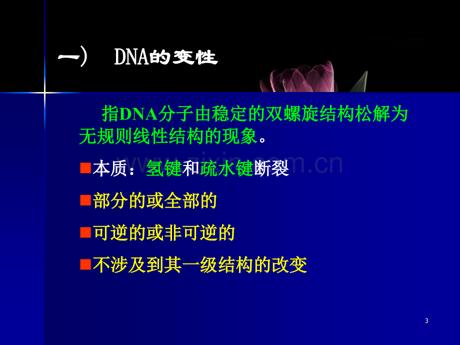 DNA的变性和复性.pptx_第3页