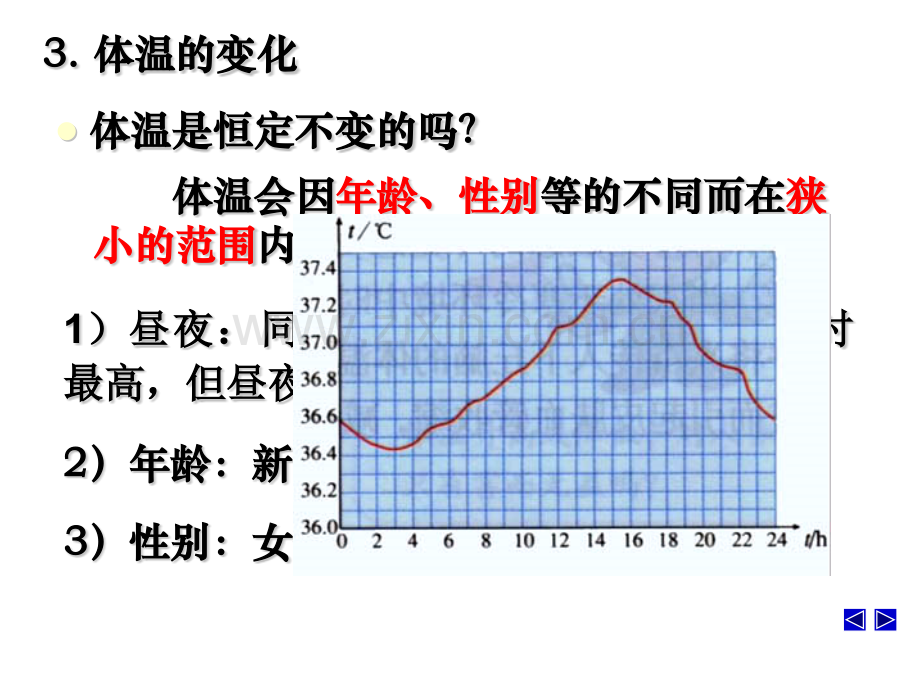 体温的平衡调节.pptx_第3页