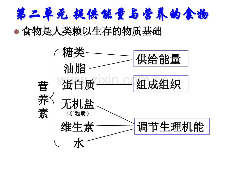 专题二提供能量与营养的食物.pptx_第2页