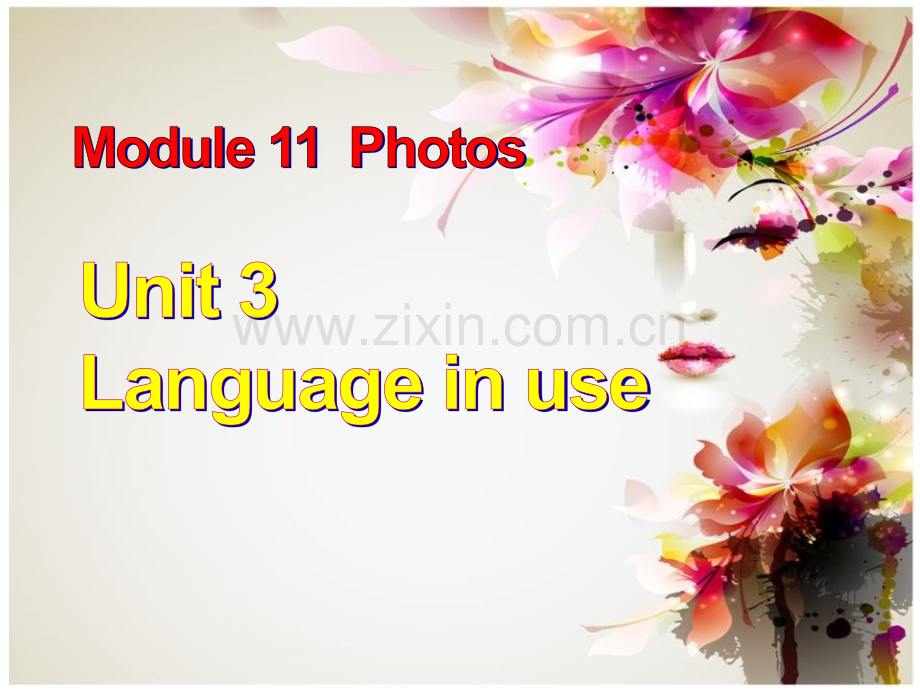 LanguageinusePhotos.pptx_第1页