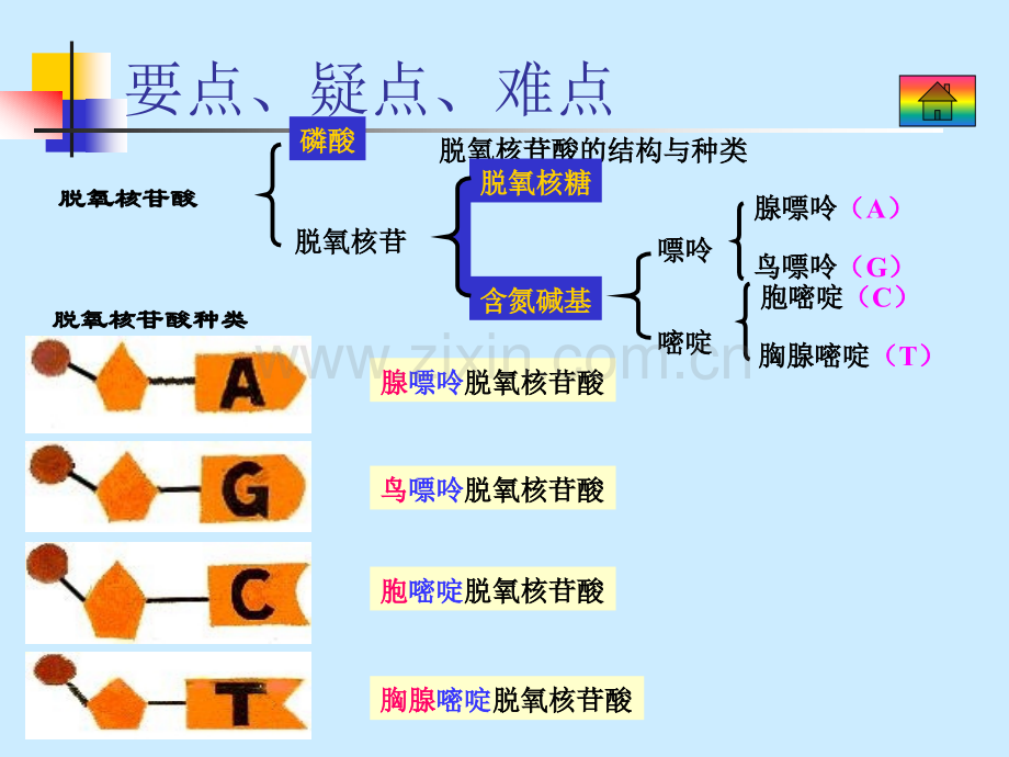 全品高考复习方案.pptx_第3页