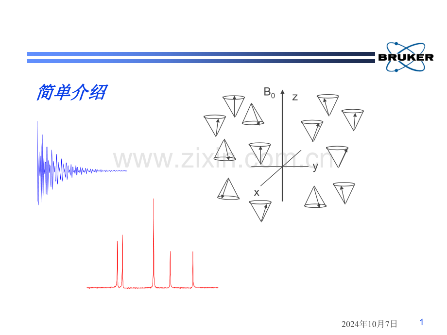 Bruker核磁共振详细资料.pptx_第1页