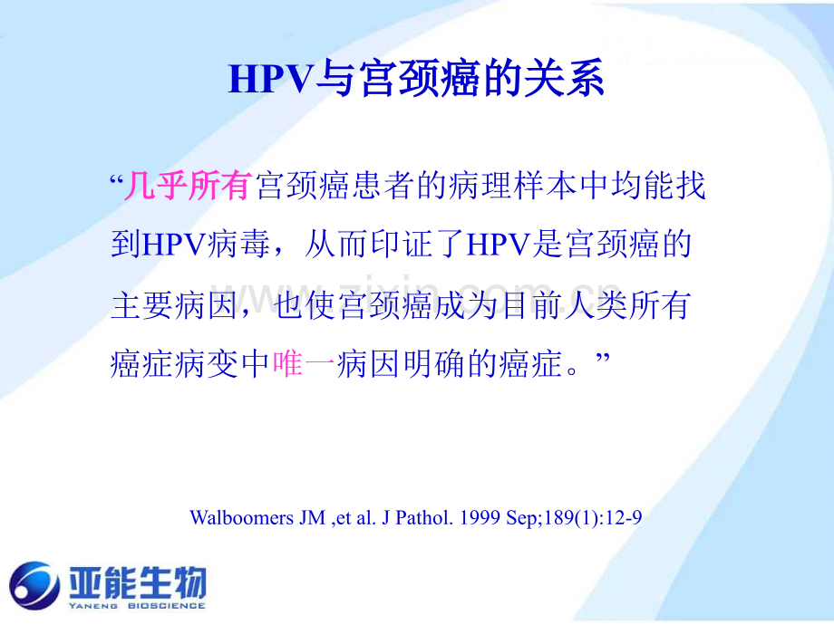 HPV与宫颈癌病理.pptx_第3页