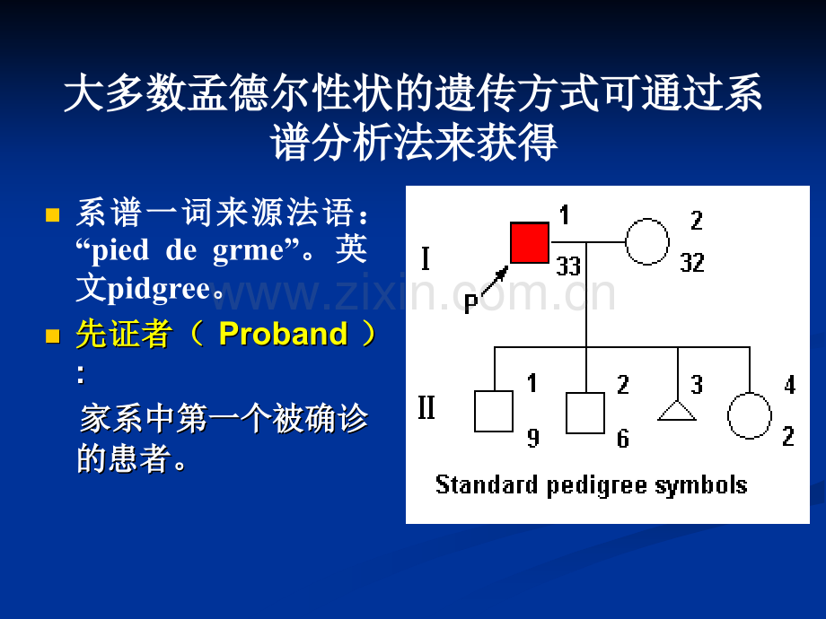 8单基因遗传病解析.pptx_第3页