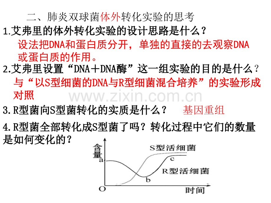 二轮复习遗传的分子基础.pptx_第3页