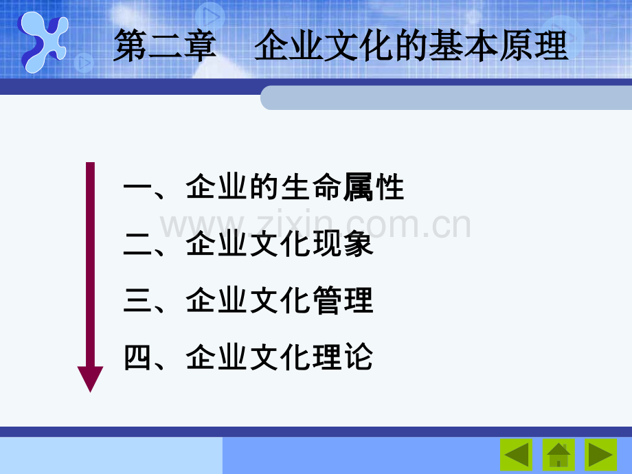 企业文化管理企业文化的基本原理——生命属性和文化现象.pptx_第1页